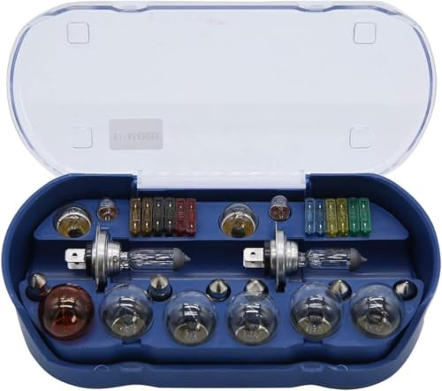 TAKPART 30-teiliges H4-Reiseset für Fahrzeuge Notfall-Set für PKW, Transporter, Wohnwagen Glühbirnen und Sicherungen 12 V