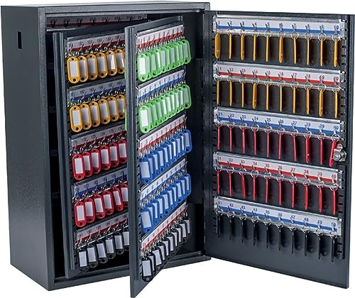 Pavo 8047239 - Caja para Llaves de Alta Seguridad (Capacidad para hasta 300 Unidades) Gris