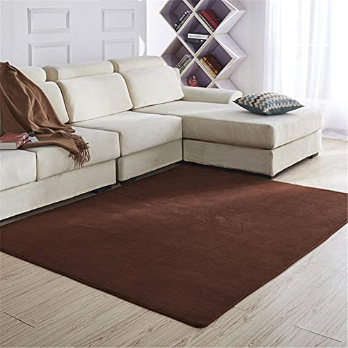 Aoojlo Alfombra de Terciopelo Coral Grueso Color sólido Calidad Tierra Suave Lavable Antideslizante Grande Rugs Minimalista Moderna Sala Estar Dormitorio Tatami Gateando Estera -120×140cm