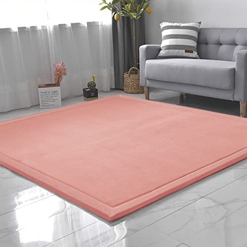 CASTLYE Kinderteppich Korallensamtteppich Teppiche Fürs Kinderzimmer Matten Teppich Anti Rutsch Unterlage Teppich Wohnzimmer, Rosenrot, 80x150cm