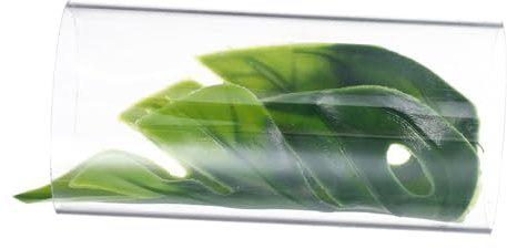FUTUREORYY Transparenter Betta Fischtunnel Ruhestätte Garnelenversteck Aus Robustem Kunststoff Für Aquarien Süßwasserfische Garnelen Aquariumdekoration