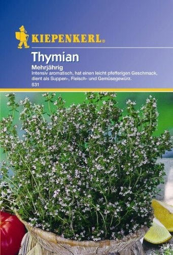 Sperli Gemüsesamen Thymian mehrjährig, grün