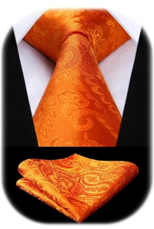 HISDERN Herren Hochzeit Krawatten und Einstecktuch Set Paisley Krawatte Jacquard Einfarbige in Verschiedenen Farben
