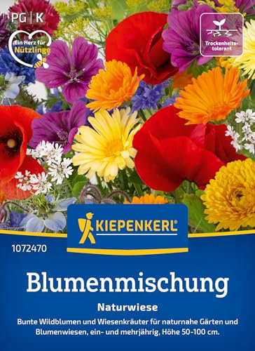 Kiepenkerl Blumensamen-Mischung Naturwiese 1072470 - Bunte Wildblumen & Kräuter für naturnahe Gärten - mehrjährige & einjährige Samen - Wildblumensamen, Blumenwiese