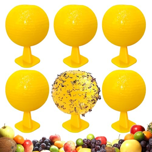 WDKXCN Lot de 6 pièges à mouches à fruits, naturels, imperméables, pour cuisine, boules d'insectes, pièges à mouches à fruits, pour balcons, vergers, pots de fleurs