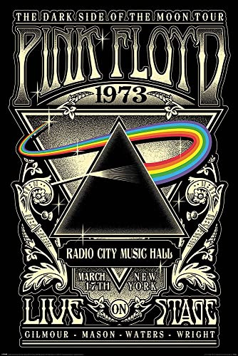 Grindstore Laminiertes Pink Floyd (1973) Maxi-Poster