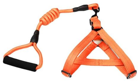 Hundeleine Brustgeschirre Große Hunde Kleine Hunde Leicht Mittelgroße Hunde Leine Hund Leder Verstellbar Hundegeschirr Kordelzug Einstellbar Je Nach Brustumfang des Haustieres (orange,XL)