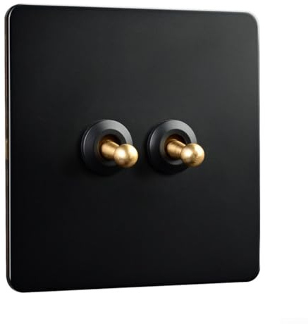 Interruptor de pared ReachMall, para panel de pared de acero inoxidable para interruptor de palanca, enchufe vintage negro para hotel y casa de huéspedes (2 vías)