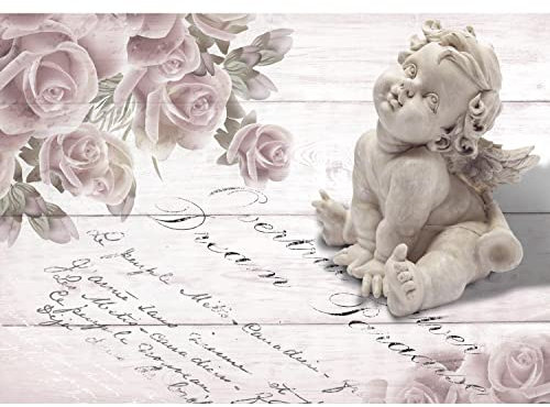 Runa Art Fototapete Vintage Blumen Rose Engel Modern Vlies Wohnzimmer Schlafzimmer - Made in Germany - 308 x 220 cm Grau 9231010a