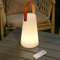 IROO Lampe de table LED extérieur avec Télécommande Blanc chaud 8 couleurs Intensité variable Lampe de Table sans fil étanche Décoration idéale pour votre maison et jardin (conique)