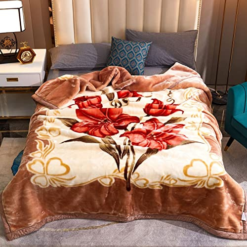 AIBOTY Schwere, wendbare 2-lagige Decke aus Plüschsamt, Fleecedecke mit Blumenmuster im koreanischen Stil, seidig weiche Rascheldecke aus Kunstfell für Herbst und Winter,2#,150 * 200cm/2.5kg