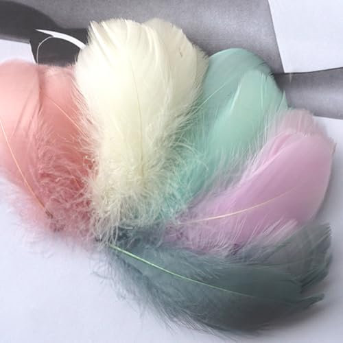 200 Stück Federn zum Basteln 7–13 cm Natürliche Gänsefedern Bunte Federn Fantasie Ornament Große Bastelfedern für DIY Bastelarbeiten Geschenkbox-Füller Traumfänger Karnevals Dekorationen (Style D)