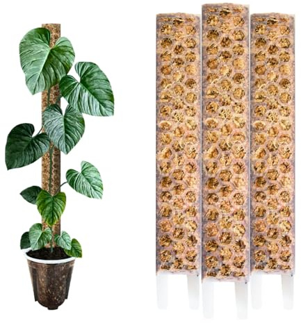 Nils der Pflanzenfreund® Moosstab 35 cm (M) 3 Stück, Matt – Moss Pole, erweiterbare Rankhilfe für Monstera & Kletterpflanzen, Pflanzenstab für Indoor Pflanzen
