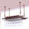 Soportes para Copas y Botelleros Colgante de Metal, Altura Ajustable Porta Bottiglie da Vino, Cuelga Copas con Invertido Tallo para Barra Bar/Club/Armarios para Vino (BR, 80x30x(30-60) cm)