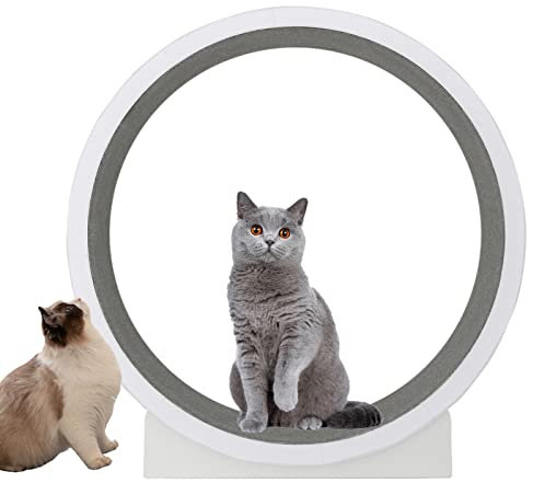 Katzenlaufrad, großes Katzenrad, Trainingsgerät für Katzen im Innenbereich, weißes Holz-Katzenlaufband mit kleinem Spalt, leises, rutschfestes Katzenkratzbrettspielzeug, 120 cm großes Spielz