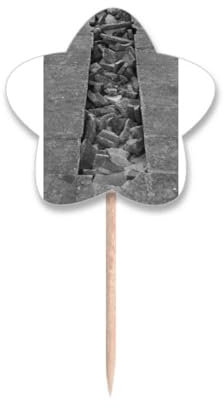 Palillos de dientes para fotografía de material industrial, con etiqueta de estrella, palillos para cupcakes