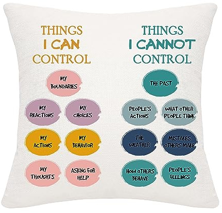 Bommex Things I Can Control Cushion Cover 18x18 Inch Motivational Inspirational Gift for Kids Teens Adults (THINGS-CAN CONTROL/CAN'T CONTROL)
