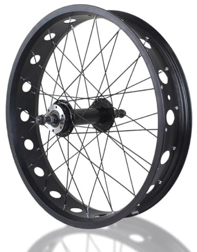 DDGFHGHK 20x4.0 Hinterrad Für Fatbikes 24/26 Zoll Snow Bike/Beach Bike Hinterrad 36x14G Speichen Scheibenbremse Schnellspanner 195mm 36H Hinterradnabe Hintere Felge Für 7-10 Gang Rotary(Black,20in)