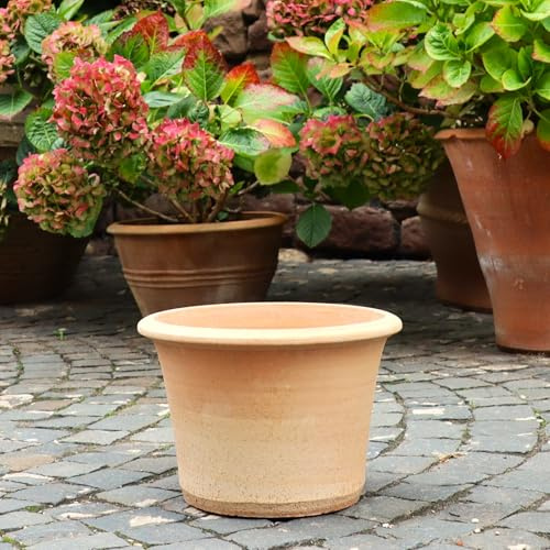 Palatina Werkstatt Terracotta Blumentopf Hosta 35cm - 100% Handgefertigter Terracotta Pflanzkübel für den Garten & Innenbereich - Robust & Stilvoll zu jeder Jahreszeit