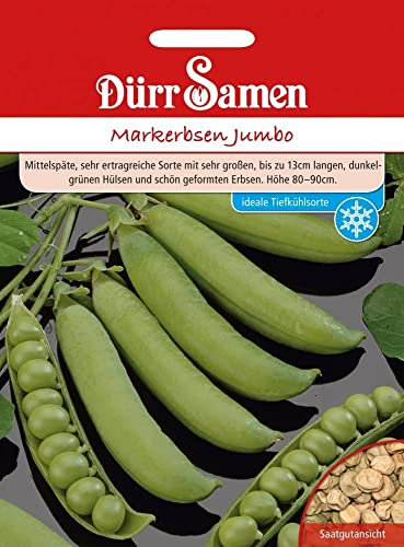 Dürr-Samen - Markerbsen Jumbo Saatgut