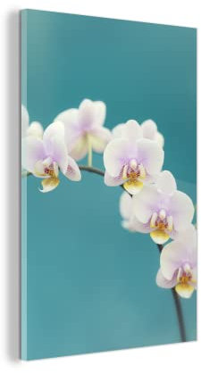 MuchoWow Glasbild Glasfoto Wandbild Bilder Deko 20x30 cm Orchidee - Blumen - Pflanze - Weiß - Lila