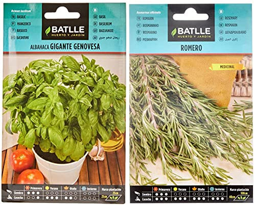 Semillas Batlle - Albahaca GIGANTE Genovesa, Color Verde & Romero - Rosmarinus officinalis