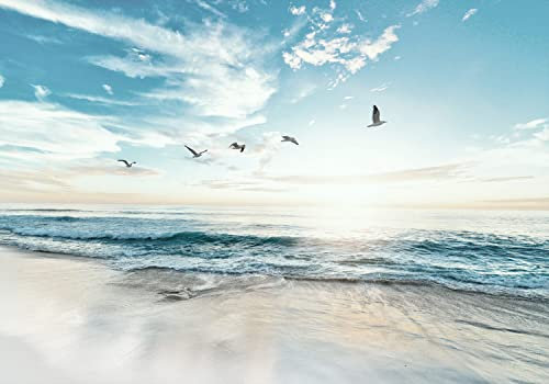decomonkey Premium Fototapete Meer Vögel 350x256 cm XXL Design Tapete Fototapeten Vlies Tapeten Wandtapete Moderne Wand Schlafzimmer Wohnzimmer Natur Strand Landschaft Himmel Sonne Blau