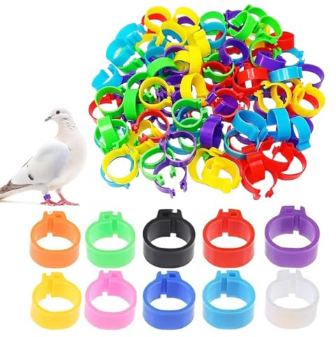 GNALIA Hühner Zubehör 100 Stück Hühnerringe, 10Mm 10 Farben Geflügel Fußringe Spiralringe Für Küken, Enten, Tauben Und Gänse