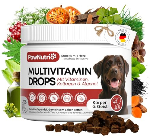 Vitamin B Komplex Hund I 24-in-1 Vitamine für Hunde I Multivitamin I Barf | 24-in-1 Hunde Vitamine I Nahrungsergänzungsmittel für Hunde I in Leckerli-Form, ca. 120 Stück, 300g I Senior & Junior I plus
