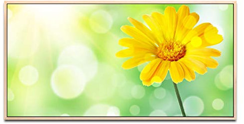 gelbe Blume ca. 130x70cm Wandbild inklusive Schattenfugenrahmen naturfarbend - Panorama Leinwand Bild XXL Format Wandbilder Wohnzimmer Wohnung Deko Kunstdrucke