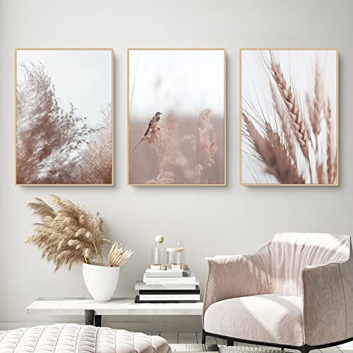 3er Moderne Poster Set, Beige Pampas Wandbilder, Poster Vintage, Ohne Rahmen Modern Pampasgras Bilder Set Wanddeko Wohnzimmer Deko Schlafzimmer (50x70cm)