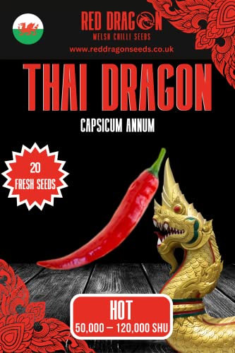 Thai Dragon Chilli Seeds - 20 Fresh Thai Dragon Pepper Seeds