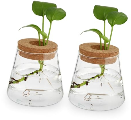 MAGICLULU Small Glass Planting Pots Hydroponic Vase 400Ml Capacity with Cork Lid Glass Hydroponic Flower Vase round Desktop Planter for Stylish Home and Office Decoration 2Pcs