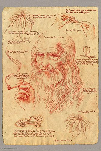 Leonardo Smoking Pot Poster | lustiges Wandposter mit Leonardo da Vinci und Joint Motiv | humorvolle Kunst Deko für Wohnzimmer, Büro, WG & Art Fans | 61 x 91,5 cm
