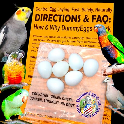 7 Cockatiel Dummy Bird Eggs Stop Brooding Laying! Tricks Your Bird Everytime! Solid Plastic Fake Eggs Quaker, Green Cheek, Ringneck Dove - DummyEggs USA