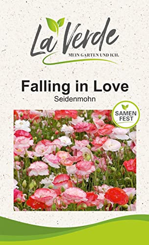 Seidenmohn Falling in Love Blumensamen