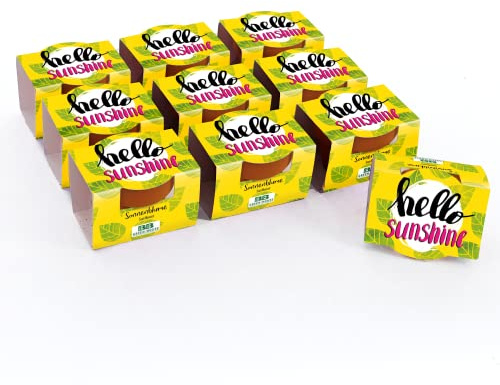 Bull & Bear 10er Set Mini Pflanzset 'hello sunshine' mit Sonnenblumen Samen im Topf 4,5cm, Zwergsonnenblumen als Anzuchtset mit Pflegeanleitung