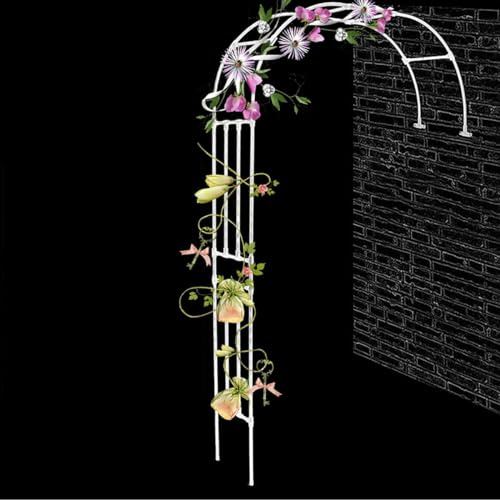 Soporte de metal para pérgola de jardín para plantas trepadoras y flores, enrejado resistente a la intemperie, estable en varios tamaños (1,8 m a 3 m), elegante diseño blanco