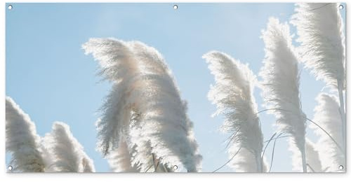 MuchoWow© Gartenposter 160x80 cm Outdoor Bilder Gartendeko für draußen Wetterfest Garten Deko Banner Draußen Gartendekoration Bild Himmel - Gras - Pampasgras