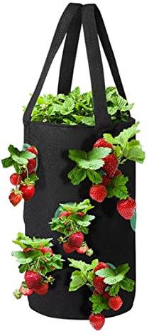 Sac De Culture De Fraises 3 Gallons Planteur De Tomates Suspendu 12 Trous Sacs De Plantation Sacs De Plantation De Fraises Planteur De Fraises Suspendu Planteur De Tomates À l'envers pour Légumes