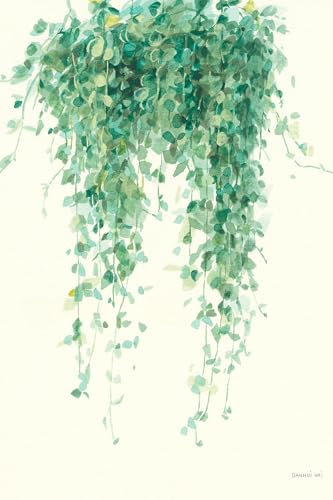 Cuadro de flores Planta tropical Ceropegia ilustrada – Made in France – Lienzo impreso 80 x 120