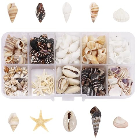 Generisch Kleine Muscheln, 210+ Stück Natürliche Muscheldekorationen mit Muscheln, Meeresschnecken und Seesterne Ideal zum Basteln, Vasenfüllungen, Aquarium, Hochzeit Dekoration, 10-30 mm