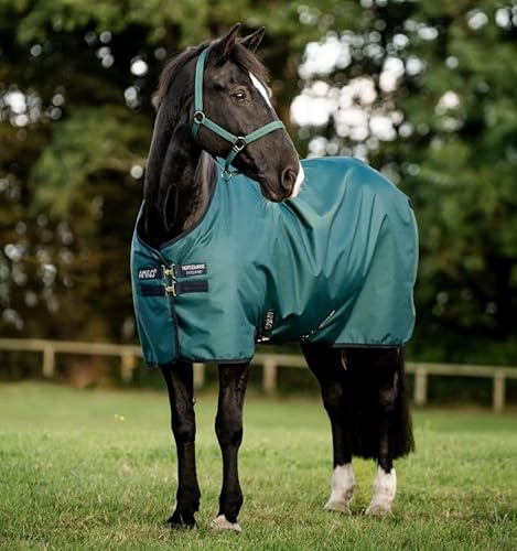 Horseware Amigo Ripstop 900D 50g Turnout Weide Decke Dynasty Green/Navy & Silver, Deckengröße:155 cm / 6´9