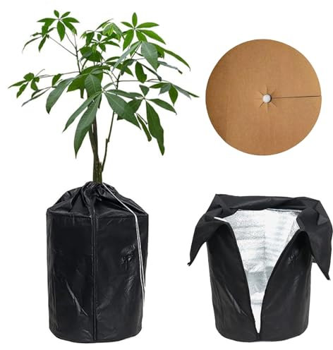 DAZZTIME Thermo Topfschutz 50x45cm,Thermo Topfschutz für Pflanzen mit Zugband & Reißverschluss,Winterschutz für Pflanzen,Pflanzenschutzsack für Palmen Balkonpflanzen,Mit Filz Kokosscheibe Ø 43cm