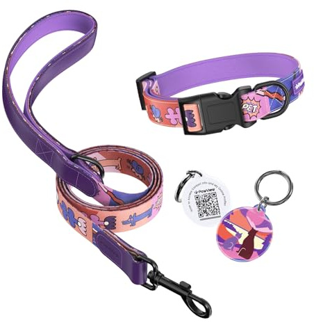 PawView Sonnenuntergangs Stil Personalisierte Hundeleine und Halsband Set Verstellbar, mit Hundemarke qr Code Passend für Welpen und kleine Hunde XS (Halsumfang: 22–30 cm, Leinenlänge: 1.5 m) DE