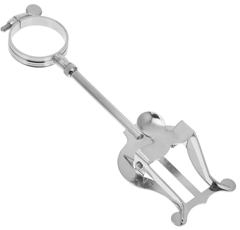SAFIGLE Letturino Clarinetto Sib in Ferro Argento, Clip Portatile Compatta e Leggera per Tenere Spartiti Musicali di Clarinetto, per Musicisti e Studenti