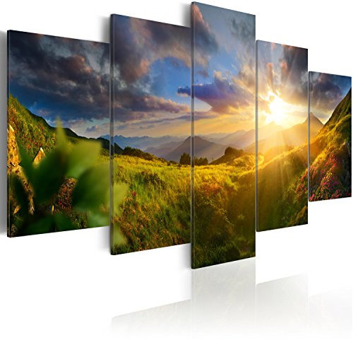 B&D XXL - Wandbilder XXL Landschaft Natur 200x100cm 5 tlg - Wand Deko Leinwand Bilder Groß Wanddeko Wohnzimmer Schlafzimmer Kunstdrucke - Gebirge Wiese c-C-0058-b-m