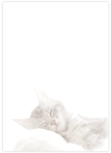 Briefpapier mit Katzen DIN A4 - Papier Katze - 20 Blatt - Motiv Nr. 168 | 80g/m²