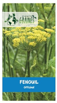 120 graines de Fenouil - Herbe Aromatique
