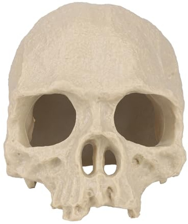 Penitue Halloween Aquarium Deko, Horror Aquarium Totenkopf Deko Dekorativ Fisch Verstecke Accessoire für Betta Garnelen